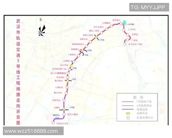 武汉排球队近期表现分析与未来发展方向探讨