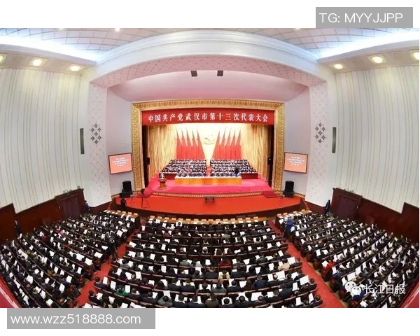 武汉羽毛球队的拼搏历程与大满贯荣耀之路的深度剖析